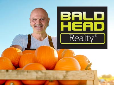 Free Pumpkin Roll Pumpkins Courtesy Bald Head Realty