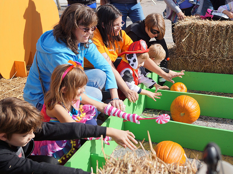 PumpkinFest 2026 Vendor Applications